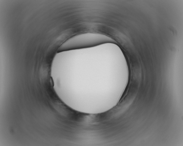 X0000113040092200910081220