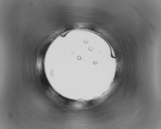 X0000113040094200910081220
