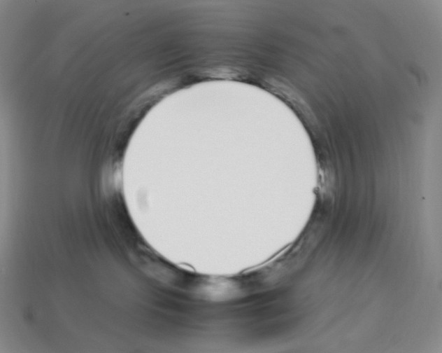 X0000113040095200910081220