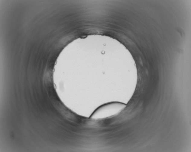 X0000113040096200910081220