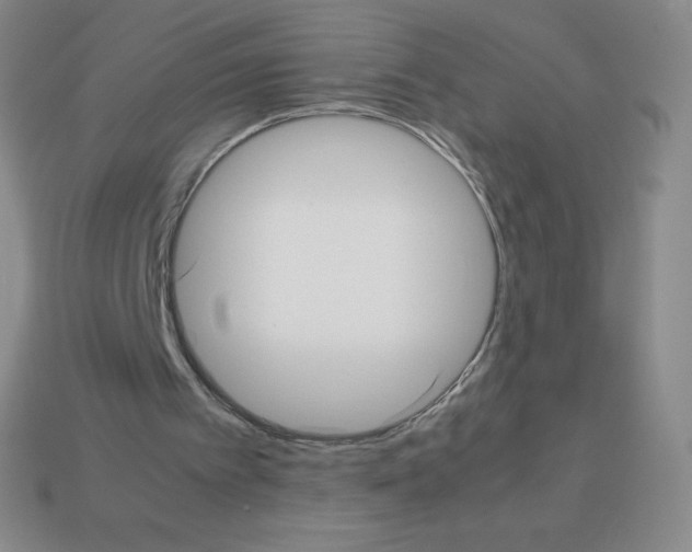 X0000113040097200910081219