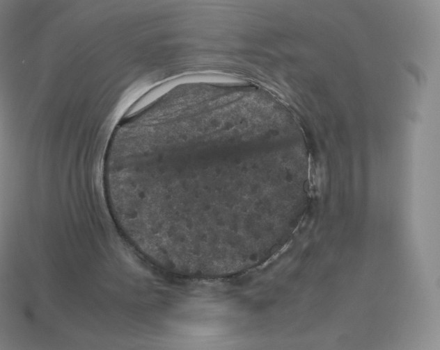 X0000113040099200910081219