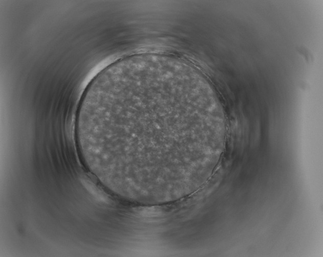 X0000113040100200910081219