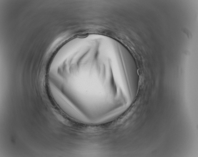 X0000113040101200910081219