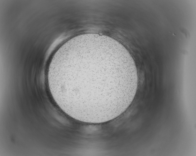 X0000113040102200910081219