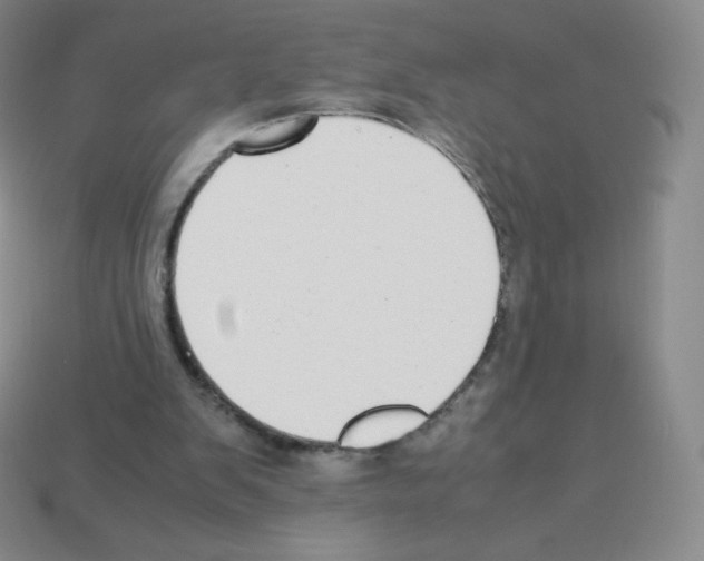 X0000113040103200910081219