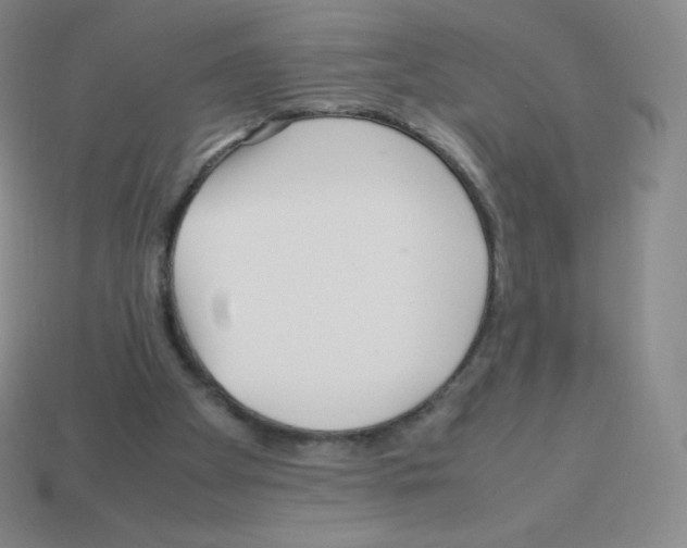 X0000113040105200910081219