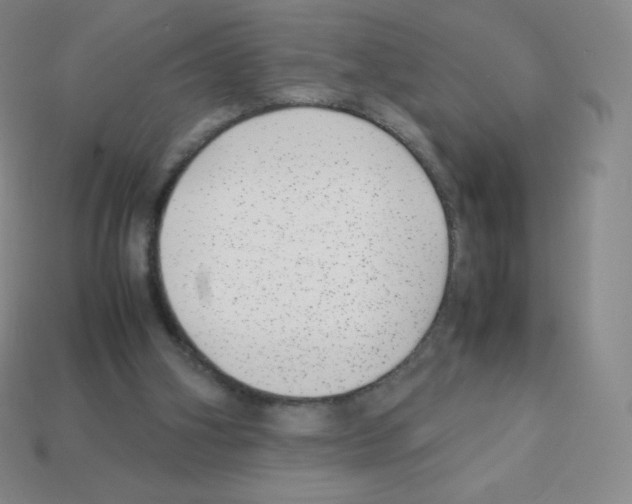 X0000113040106200910081219
