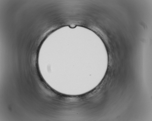 X0000113040107200910081219