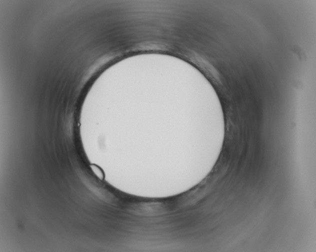 X0000113040108200910081219