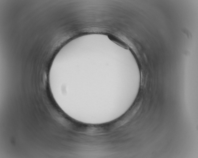 X0000113040109200910081219