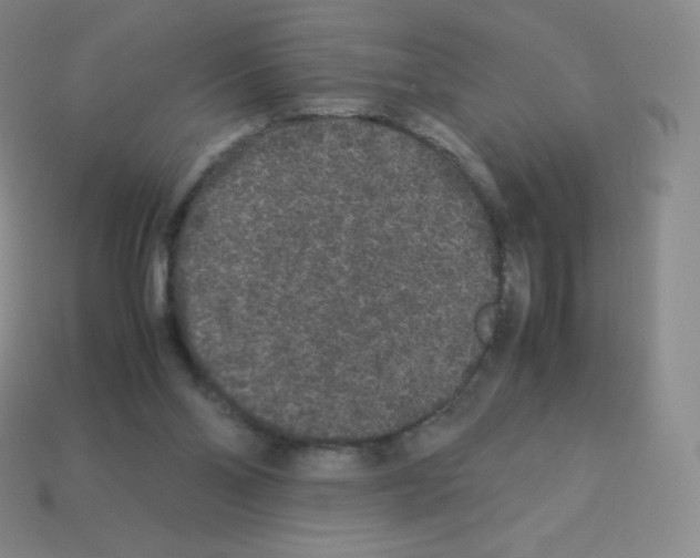 X0000113040110200910081219