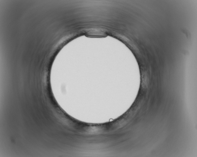X0000113040111200910081219