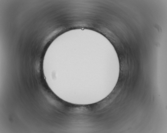 X0000113040112200910081219