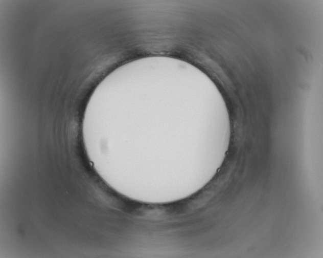 X0000113040113200910081219