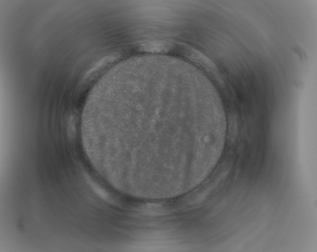 X0000113040114200910081219