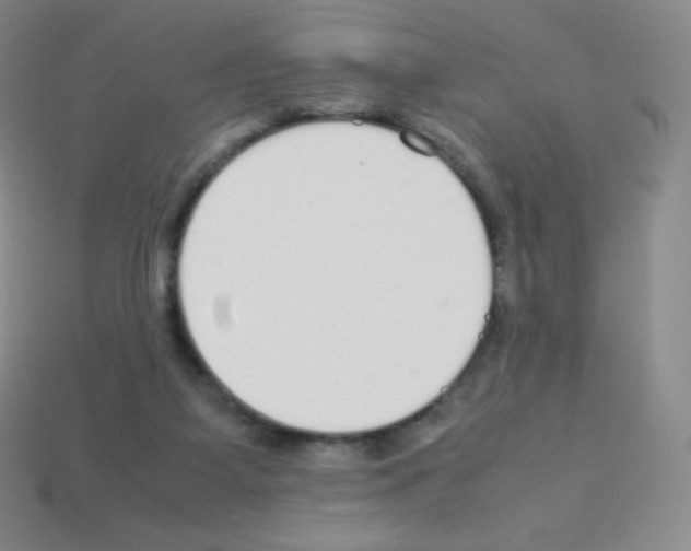 X0000113040115200910081219