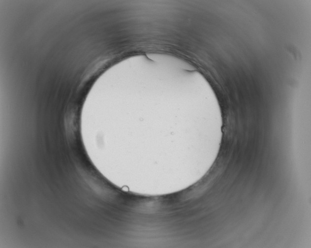 X0000113040116200910081219