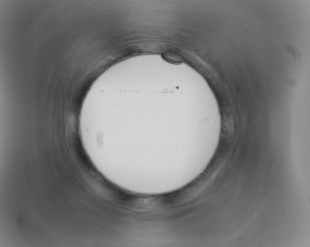 X0000113040117200910081219