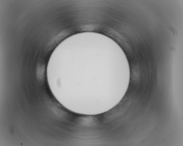 X0000113040118200910081219