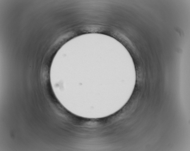 X0000113040119200910081219