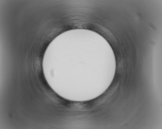 X0000113040121200910081219