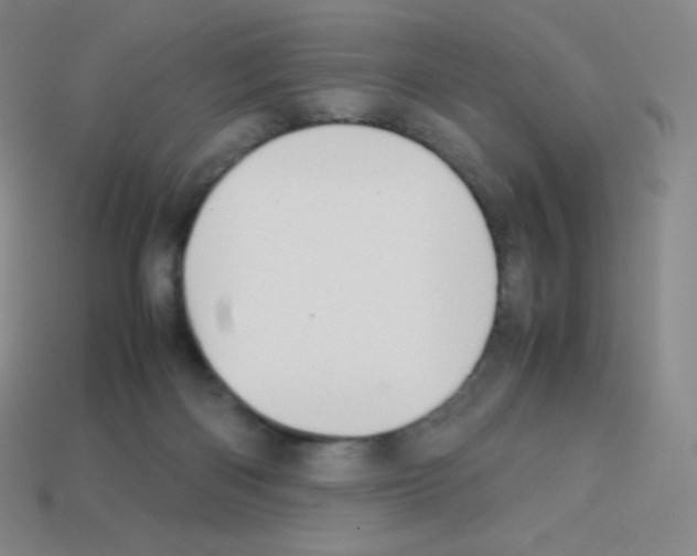 X0000113040122200910081219