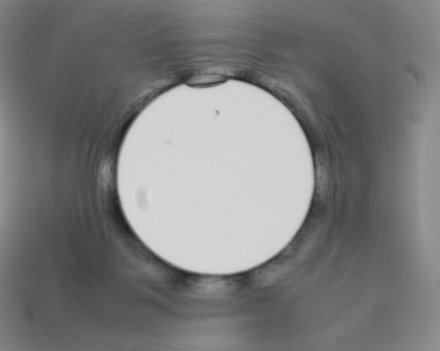 X0000113040123200910081219