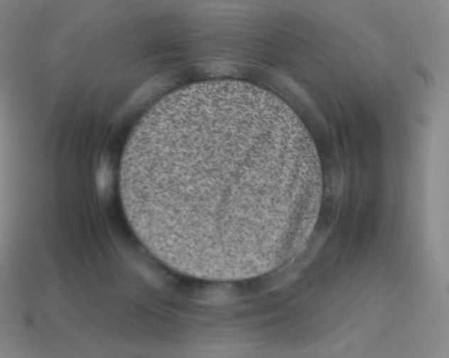 X0000113040124200910081219