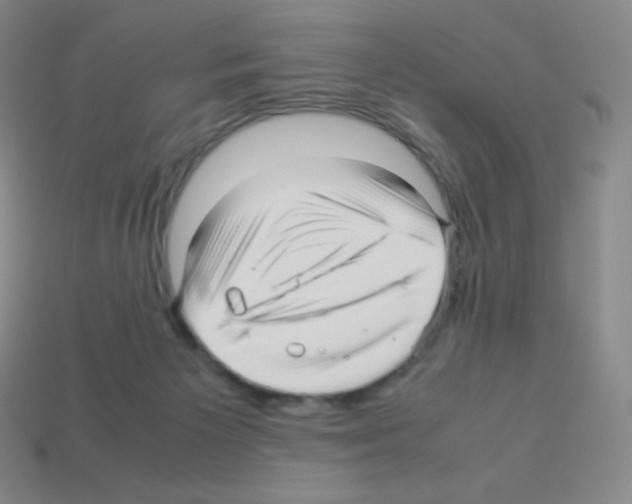 X0000113040125200910081219