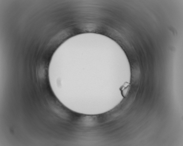X0000113040126200910081219
