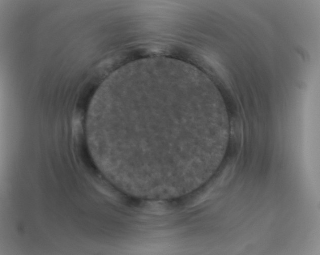 X0000113040127200910081219