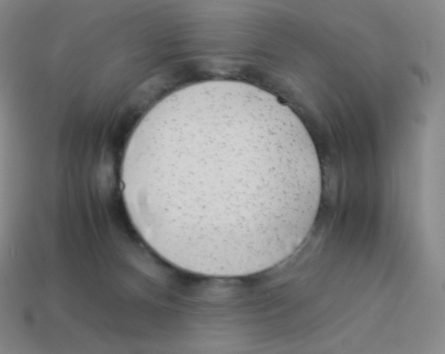 X0000113040128200910081219