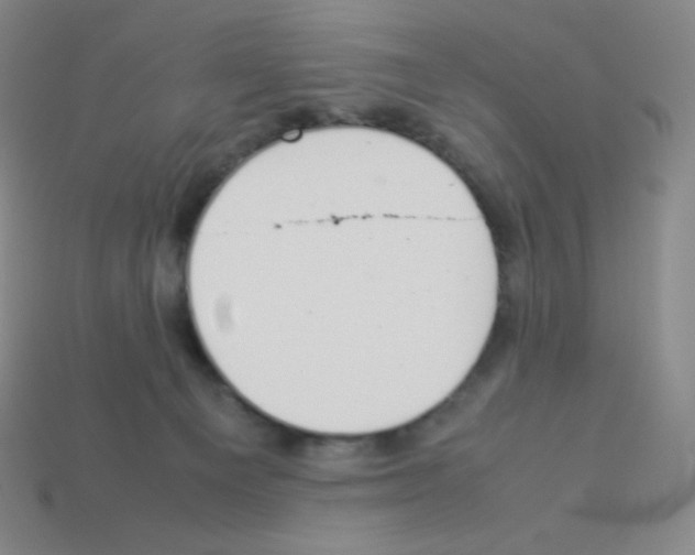 X0000113040129200910081218