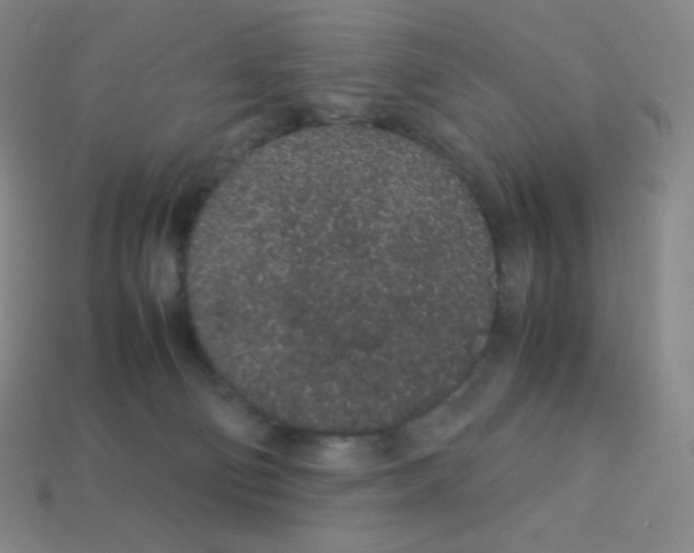 X0000113040130200910081218
