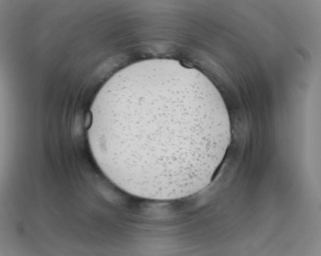 X0000113040132200910081218