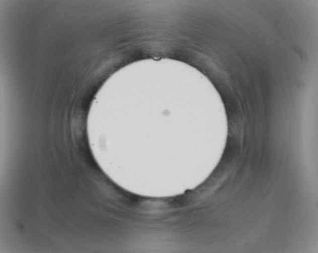 X0000113040133200910081218