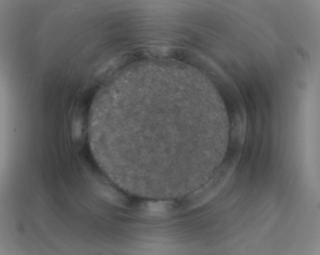 X0000113040134200910081218