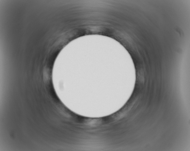 X0000113040135200910081218