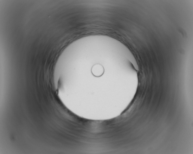 X0000113040136200910081218