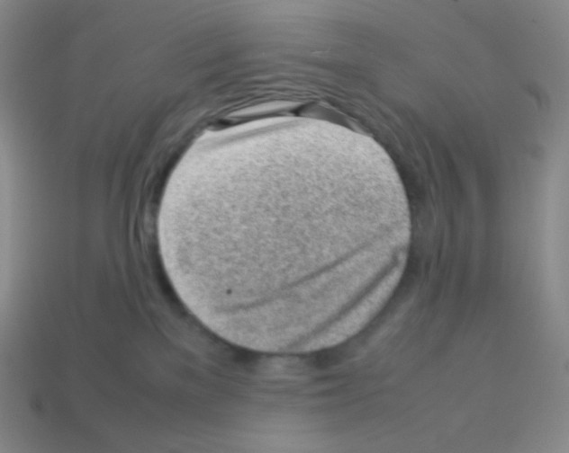 X0000113040137200910081218