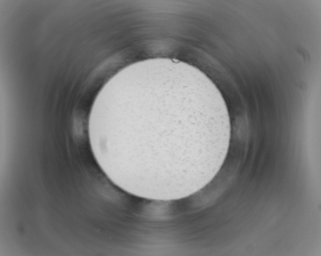 X0000113040138200910081218