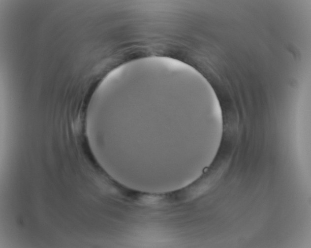 X0000113040139200910081218