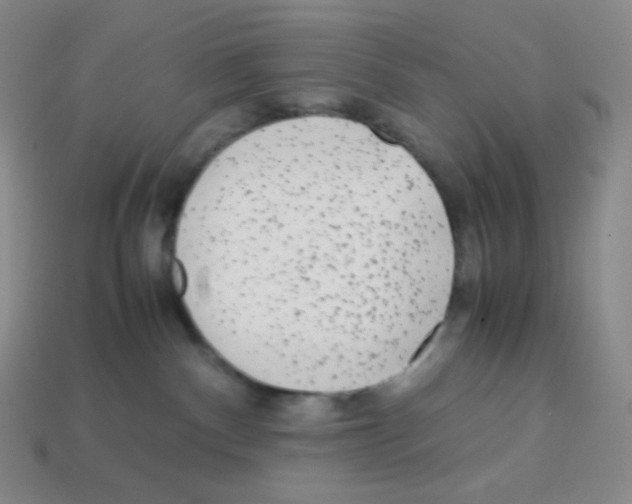 X0000113040140200910081218