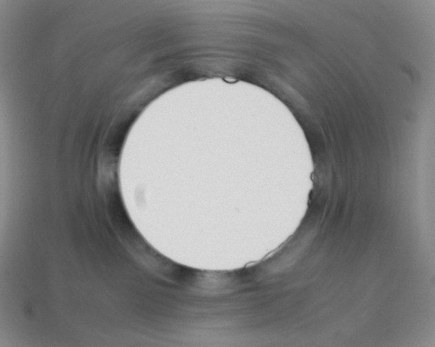 X0000113040141200910081218