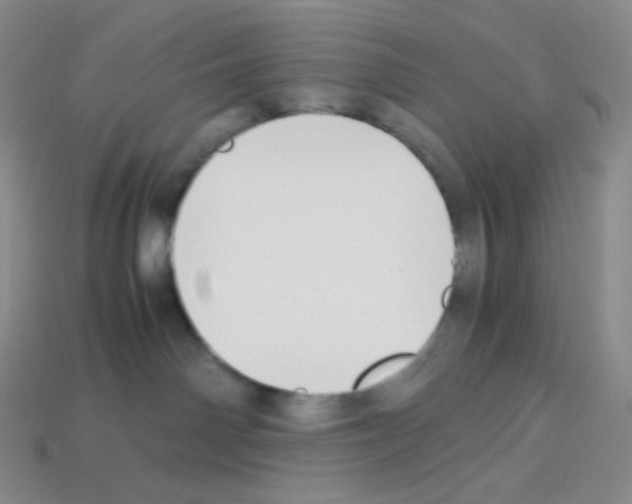 X0000113040142200910081218