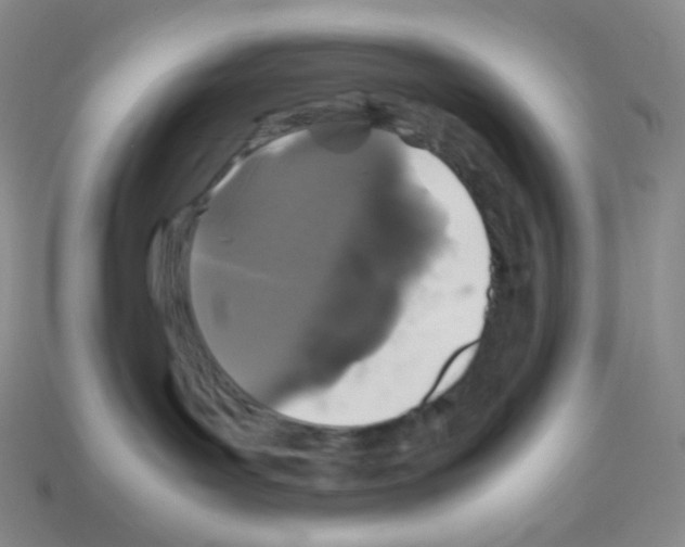 X0000113040143200910081218