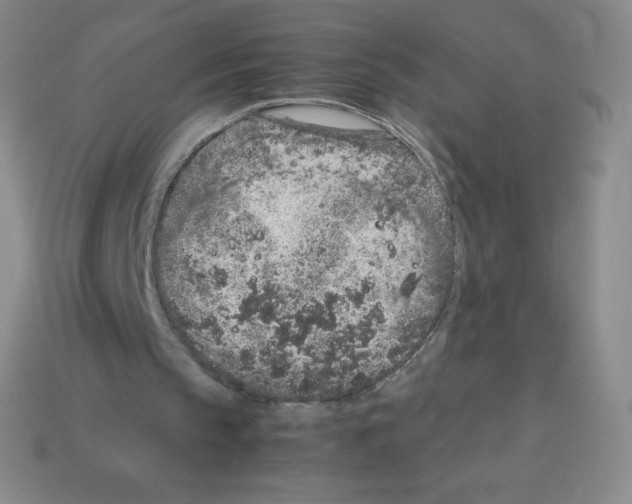 X0000113040145200910081218
