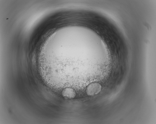 X0000113040146200910081218