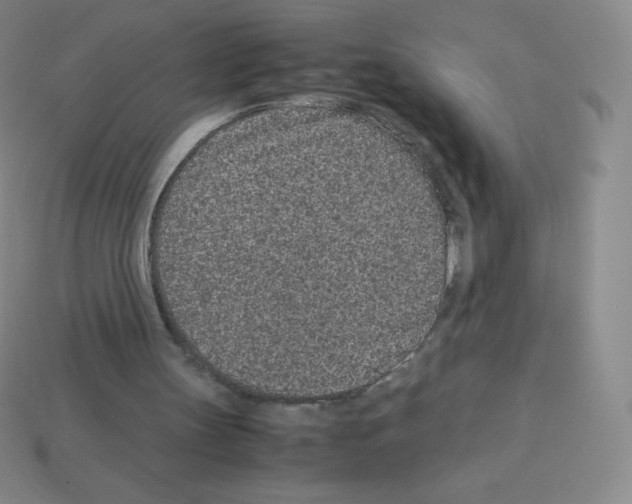 X0000113040147200910081218